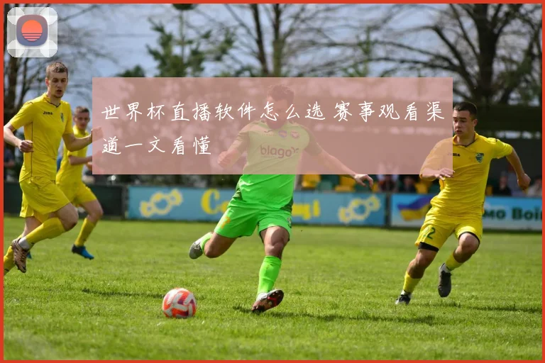 世界杯直播软件怎么选 赛事观看渠道一文看懂
