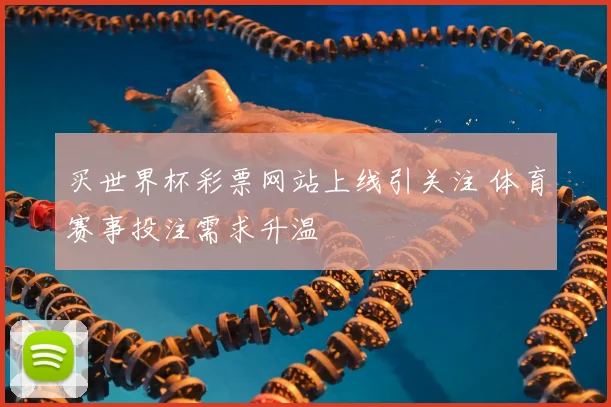 买世界杯彩票网站上线引关注 体育赛事投注需求升温