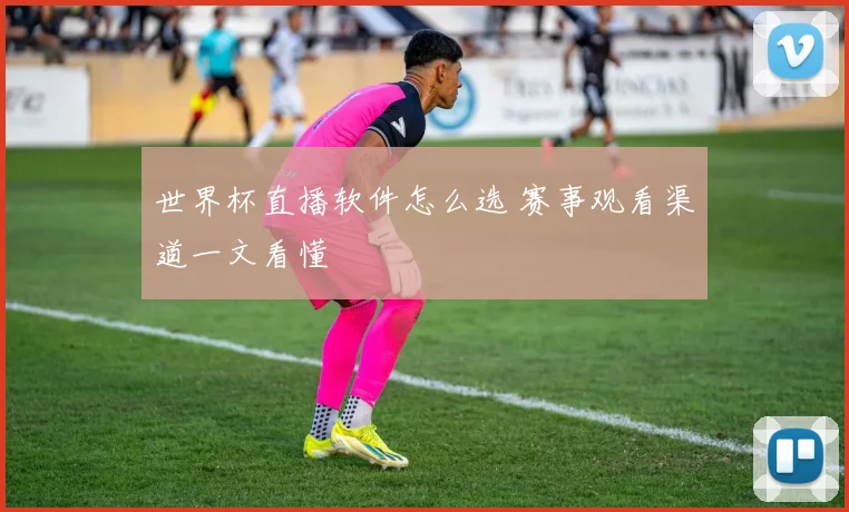 世界杯直播软件怎么选 赛事观看渠道一文看懂