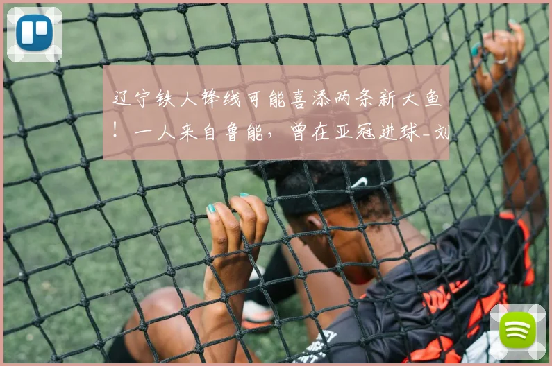 辽宁铁人锋线可能喜添两条新大鱼！一人来自鲁能，曾在亚冠进球_刘国宝_刘国博_泰山队