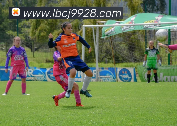 米兰app体育安全登录入口服务体系